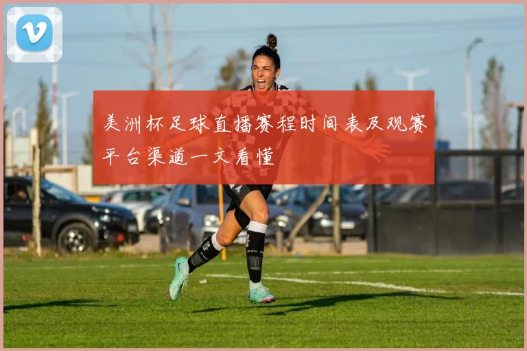 美洲杯足球直播赛程时间表及观赛平台渠道一文看懂