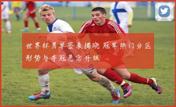 世界杯男单签表揭晓 冠军热门分区形势与夺冠悬念升级