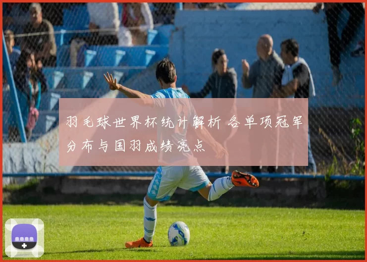 羽毛球世界杯统计解析 各单项冠军分布与国羽成绩亮点